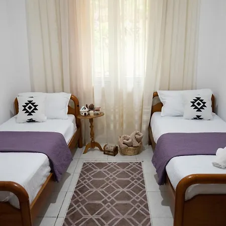 Guest house - Panoramic View Of Vjosa River *