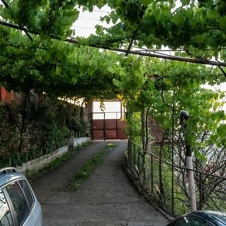 Guest house - Panoramic View Of Vjosa River *