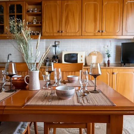 Guest house - Panoramic View Of Vjosa River *