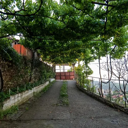 Guest house - Panoramic View Of Vjosa River *