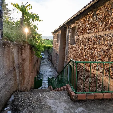 Guest house - Panoramic View Of Vjosa River
